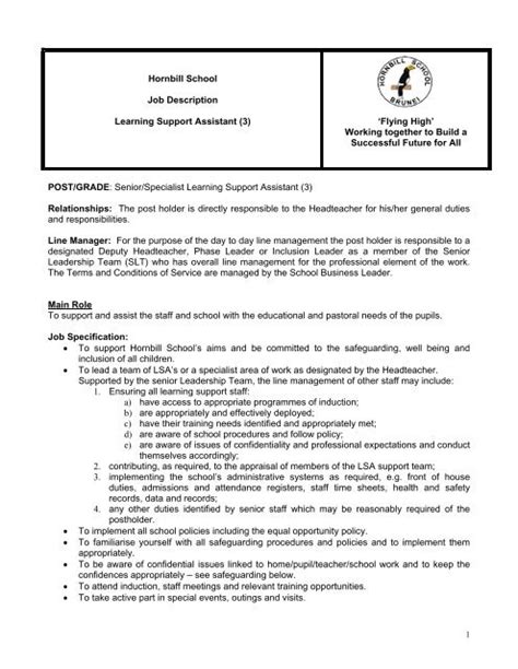 learning support assistant description