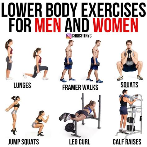 leg strength exercises with dumbbells