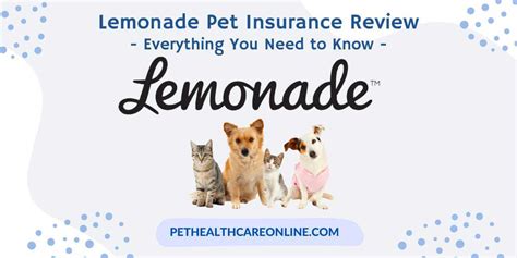 lemonade pet insurance