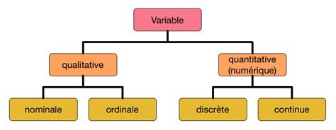 les types de variable en informatique