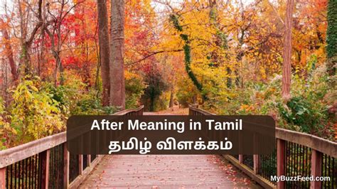 let i try meaning in tamil
