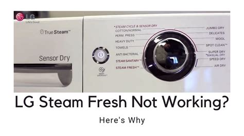 lg dryer steam not working no error code
