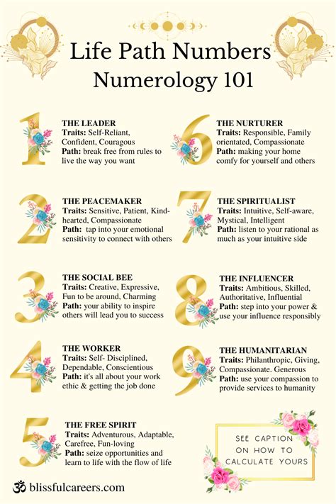 life paths in numerology