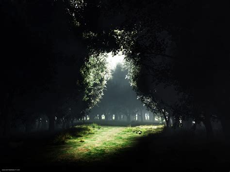 light and dark imagery examples