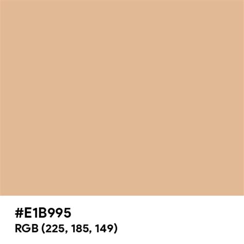 light coffee color hex code