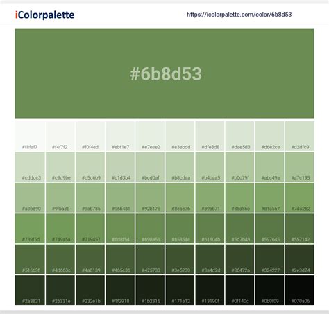 light forest green colour code