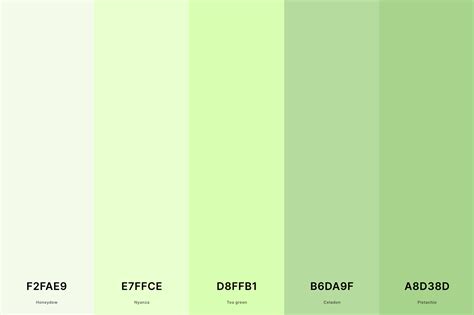 light green canva color code