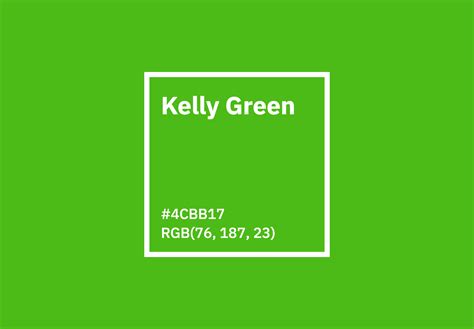 light kelly green hex code