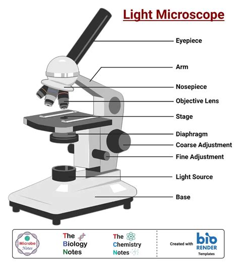 What is a Light Microscope?