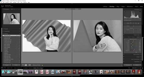 lightroom classic develop module not showing image