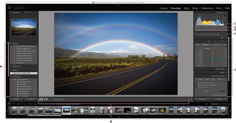 lightroom classic develop module not working mac