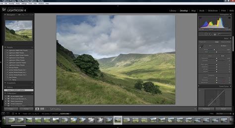 lightroom develop module not showing image