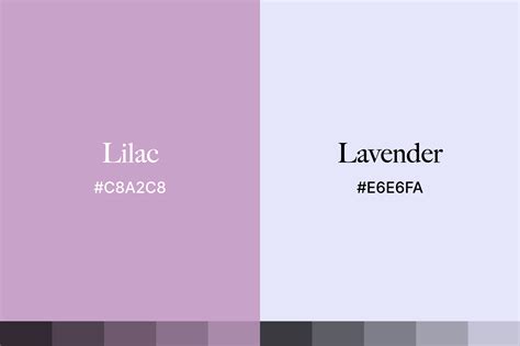 Perbedaan Warna Lilac dan Lavender dari Segi Warna Dasar