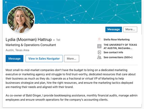 linkedin summary examples for developers