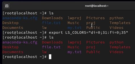 linux terminal file colors