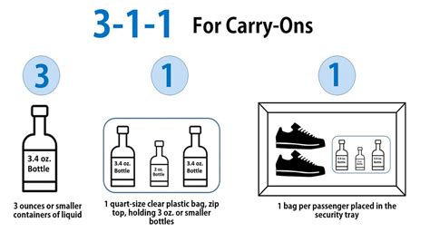 liquid allowed on plane in ml