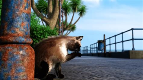 Lisc Game Walkthrough