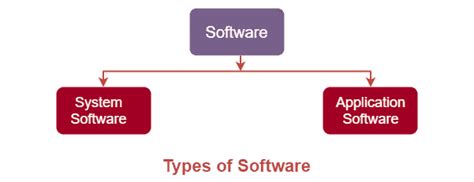 list 2 types of software