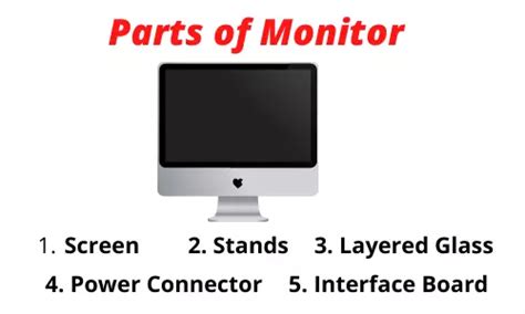 list 5 function of monitor in computer
