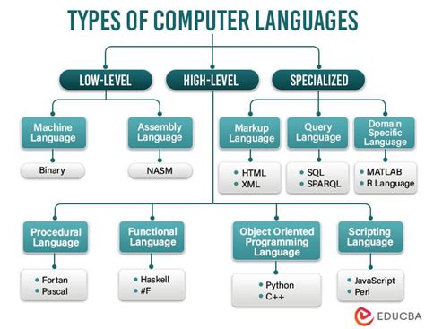 list five examples of computer programming language