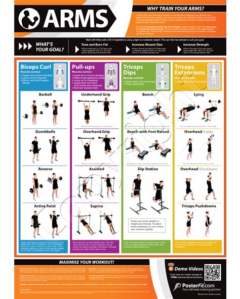 list of all arm exercises
