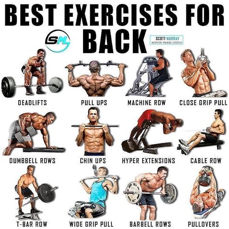 list of back exercises