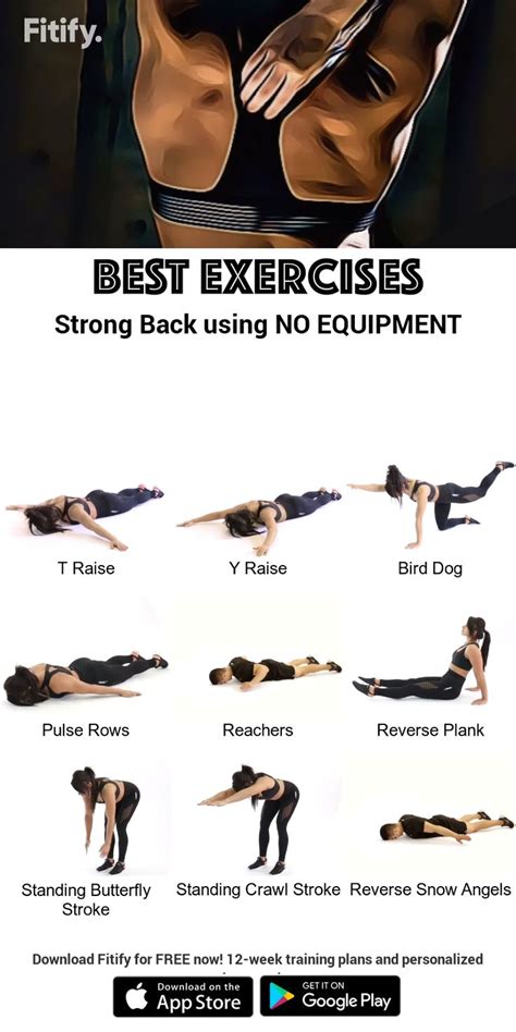 list of back exercises without equipment