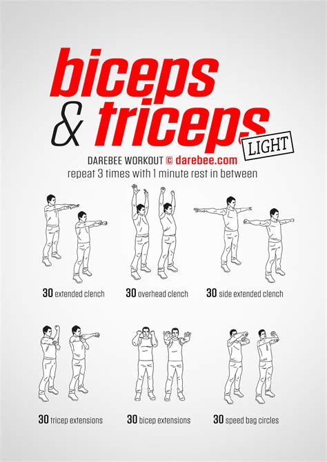 list of bicep and tricep exercises