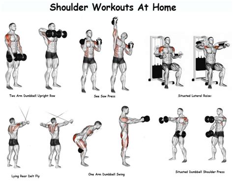 list of shoulder exercises in gym