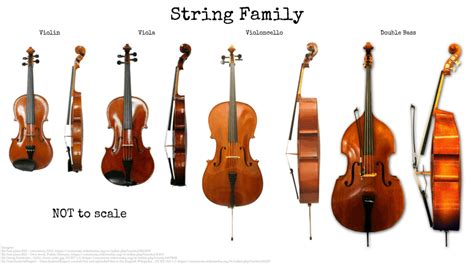 list of string instruments by size