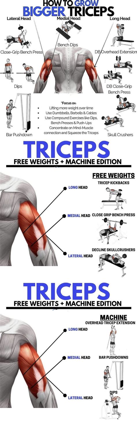 list of tricep exercises