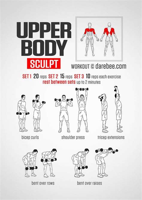 list of upper body exercises pdf