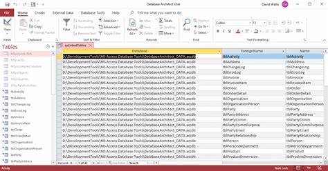 list the database objects in access