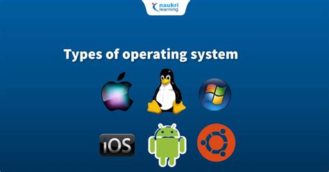 list the types of operating system software