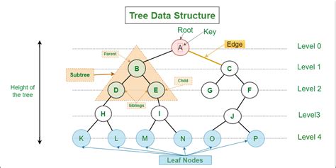 list the types of software in tree structure