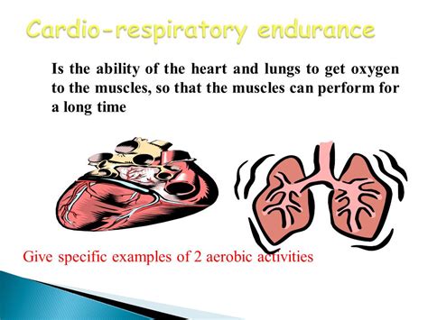 list two examples of cardio respiratory endurance activities