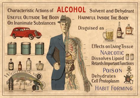 list two examples of code words used for alcohol during prohibition