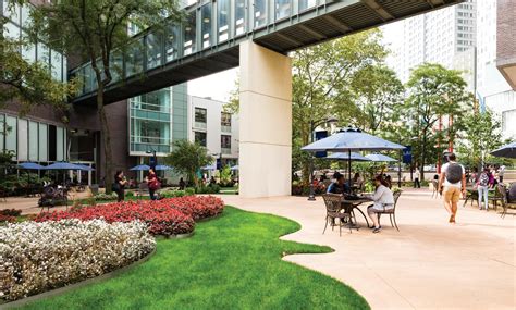 Liu Brooklyn Course Catalog