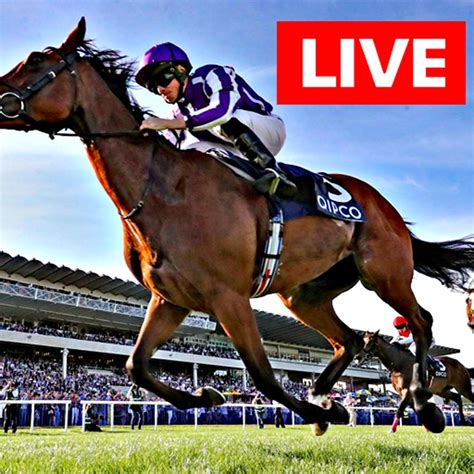 live horse racing streaming