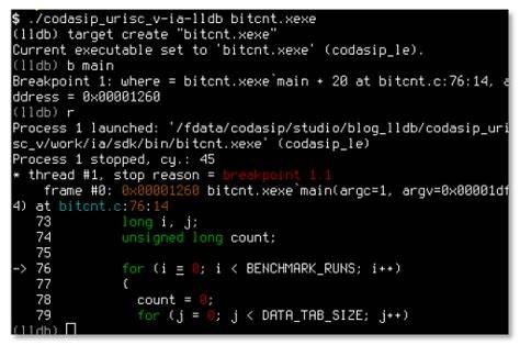 lldb installation screenshot