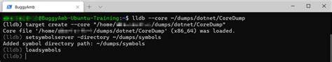 lldb opens memory dump file