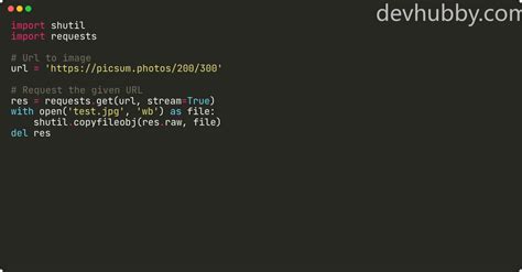 load image from url python