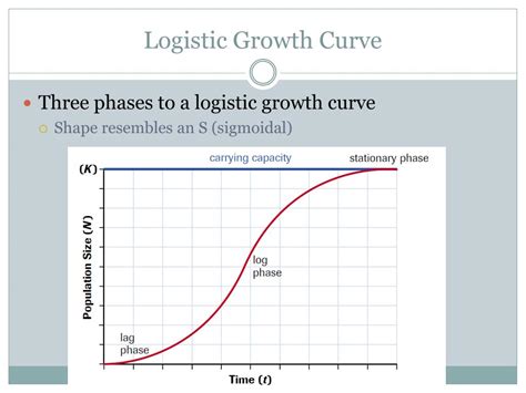 logistic growth definition biology examples