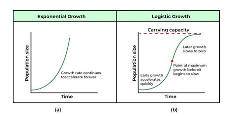 logistic growth equation biology example