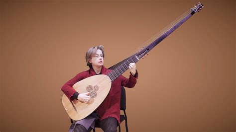 longest string instrument
