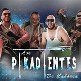 Biografia Los Picadientes De Caborca