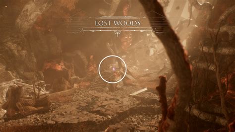 Lost Woods Walkthrough