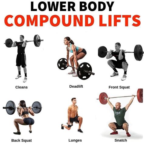 lower body compound exercises