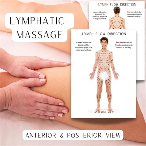 Lymphatic Drainage Chart