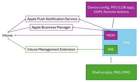 macOS Intune Management